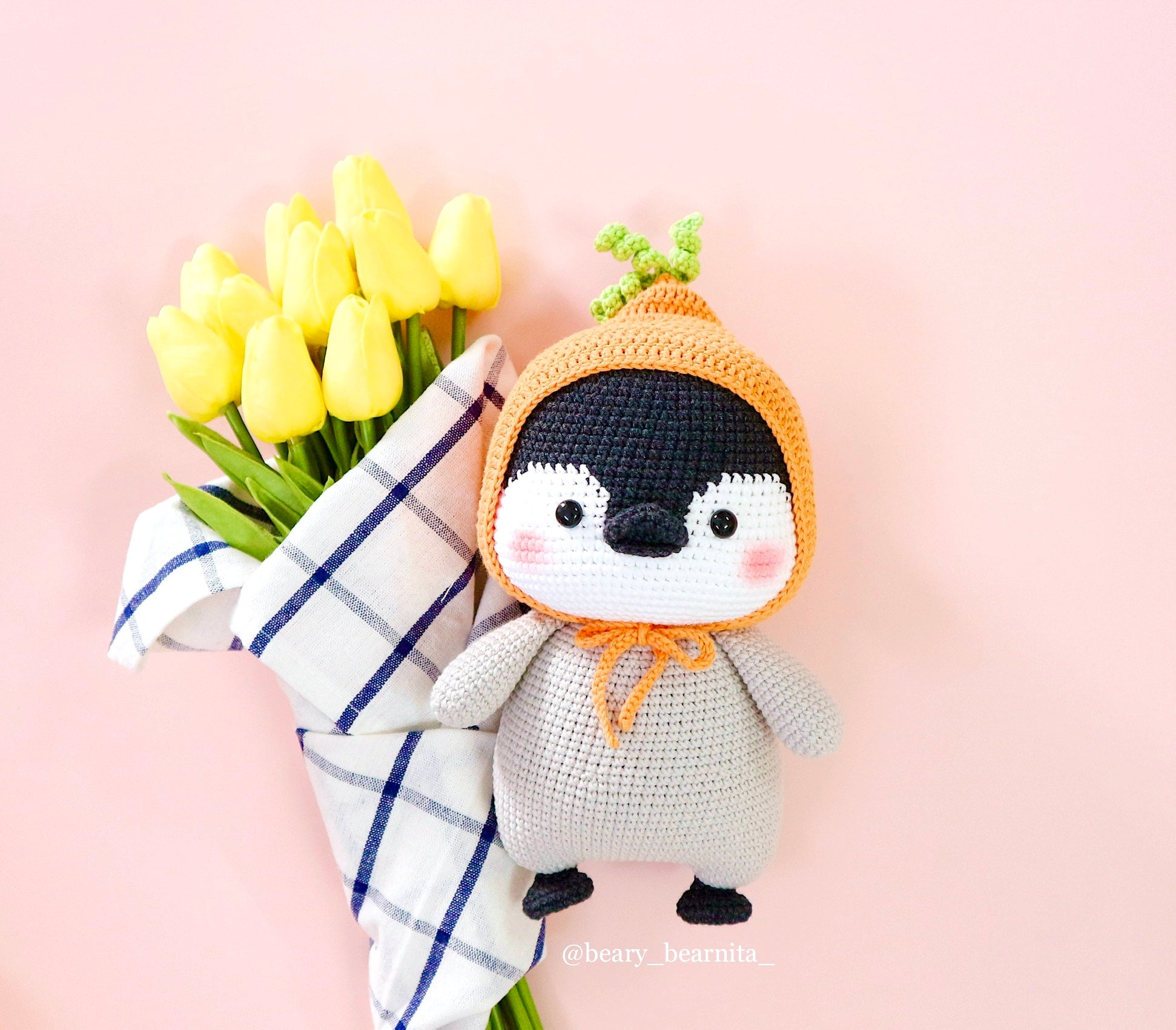 Carrot Penguin Crochet Pattern